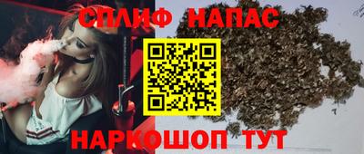 PSILOCYBIN Ярославль